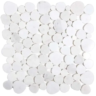 Sliced Pebble Tile Marble Mosaic Bathroom Shower Wall Backsplash Reef White • $23.54