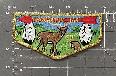 Tisquantum 164 50 Order Of The Arrow WWW OA Patch Lodge Flap Boy Scouts BSA OCC • $6.99