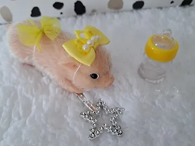 Micro Pig Mini Silicone PigPet Pal-Shine Bright Fairy Accessories Bundle(No Pig) • £9.95