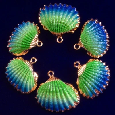 $1.27 • Buy 25x18x5mm 6Pcs Natural Seashells Decorations Scallop Shells Pendant M95733