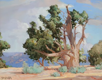 Carl Oscar Borg Cedar Grand Canyon Canvas Print 16 X 20 • $39.99