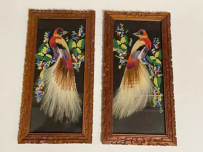 Set Of 2 Vintage Mexican Bird Feathercraft Wood Framed Art Pieces Pictures • $29.99