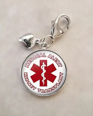 Kidney Transplant Medical Alert 925 Sterling Silver Charm • $36.50