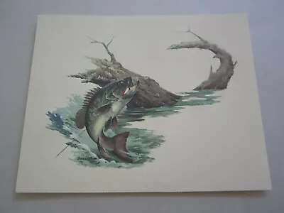 Old Vintage Wildlife PRINT - BASS - Fish - Fred Sweney - Heavily Embossed  • $8.99