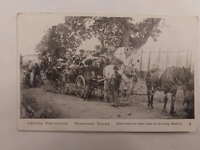 Kentish Hop-picking Homeward Bound. Early English Postcard • £4