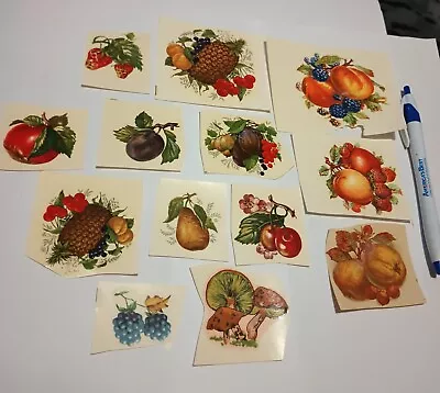 Vintage Water Transfer Ceramic Decals 13 Small Assorted Fruits • $6