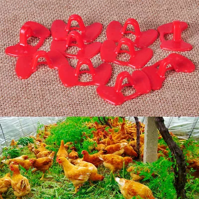 10xPlastic Creative Chicken Eyes Peeper Glasses Spectacles Protector Hen Pecking • $4.53