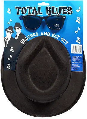 NEW BLUES BROTHERS HAT SUNGLASSES FANCY DRESS  COSTUME STAG PARTY GANGSTER 1980s • £9.85