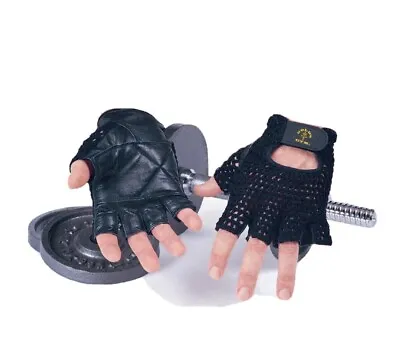 £5.99 • Buy Gold's Gym Mesh Weight Lifting Training Bodybuilding Fitness Workout Gloves