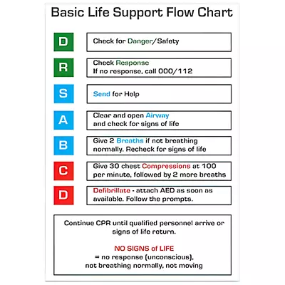 Aeroguide Cpr Life Support Flow Chart Reference Card 10 Cms X 14 Cms • $1.30