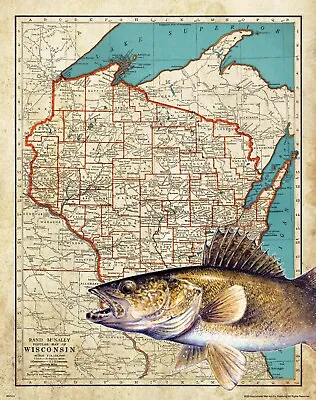 Walleye Fishing Wisconsin State Map Art Print Vintage Lures Cabin Wall Decor • $9.95