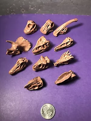 11 Different Miniature Dinosaur Bones Brand New • $12.99