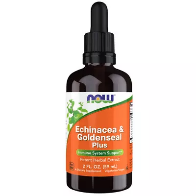 Echinacea & Goldenseal Plus 2 OZ  By Now Foods • $15.10