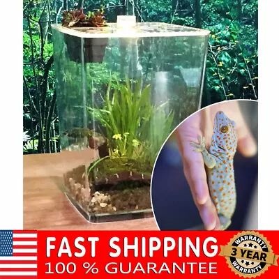 Large Acrylic Reptile Terrarium Gecko Lizard Spider Vivarium Enclosure Tank • $31.35