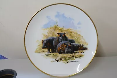 Wedgewood The David Shepherd Wildlife Collection Plate - Hippopotamus 26cm (MO) • £2.99