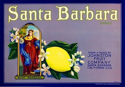 Santa Barbara Grey Version Lemon Citrus Fruit Crate Label Vintage Art Print • $11.19