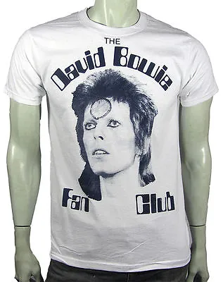  Punk Glam Rock David Bowie  Ziggy Stardust Aladdin Sane By Sexy Hooligans • £23