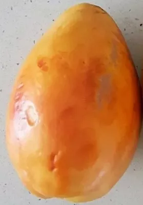 $9.95 • Buy MANGO PAPAYA 20 SEEDS  DWARF  RARE - EXOTIC Fruit Salad Champion Papaya ORGANIC 
