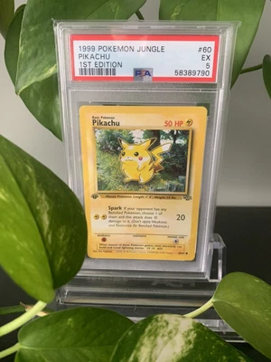 $20 • Buy Pokemon TCG Pickachu 1st Edition Jungle Set 60/64 PSA 5