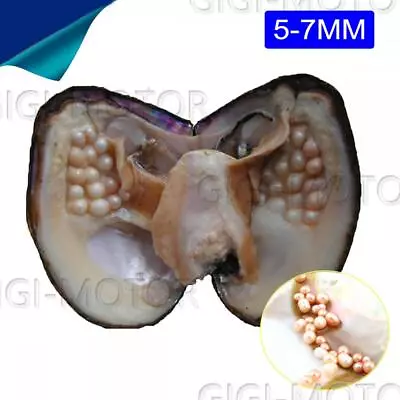 $17.99 • Buy 5-7mm Big Oyster Pearl Freshwater Cultured Oval 20-25 Pearl Inside Vacuum Packed