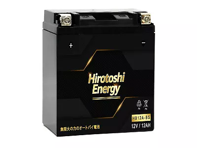 12V 12AH YB12A-A YB12A-B 12N12A-4A-1 YB12C-A AGM GEL Motorcycle Battery 200 CCA • $49.99