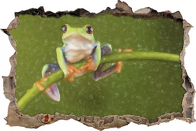 Tree Frog On Bamboo Art Crayon Effect - 3D Look Breakthrough Wall Tattoo Au • £17.20