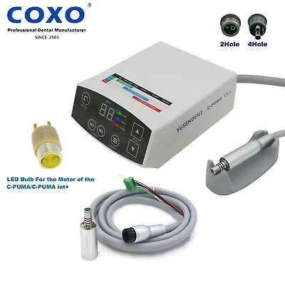 COXO Dental C-PUMA Electric LED Micro Motor Handpiece Spare Cable Tube Bulb • $339.99
