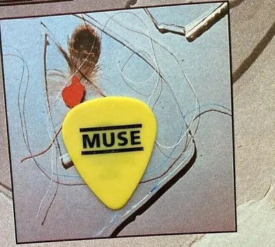 MUSE Drones Tour Guitar Pick • $5