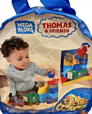 Mega Bloks Thomas & Friends Sights Sodor Thomas Blue Mountain Team Up Carry Bag • $16.59