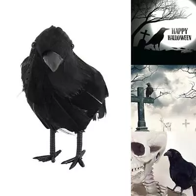 NEW Black Lifesize Raven Movie Prop Fake Crow Hunting Decor Bird Halloween • £1.79