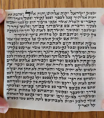 Judaica Jewish Israel Kosher Mezuzah Scroll Klaf Mezuza Parchment 12cm • $26.90