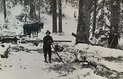 Lumberjacks Van Nortwick Rock Elm Pierce Co WI Antique Real Photo Postcard RPPC • $20