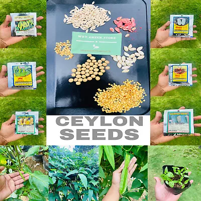 Ceylon Vegetable Seeds Famous 6 Varieties Pure Natural Home Gardening 40+ Seeds • $4