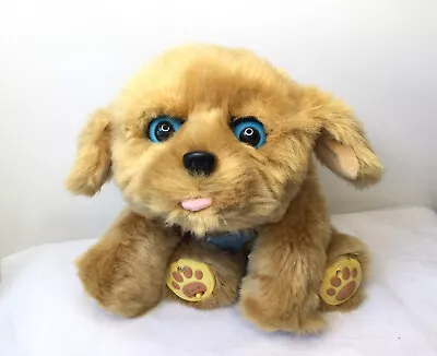 Little Live Pets My Dream Puppy Dog Golden Retriever Dog Blue Eyes 2015 • $16.19