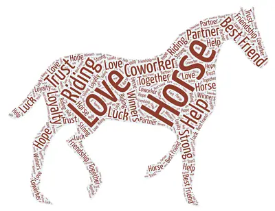 Personalised WordArt Equestrian Dressage Horse Pony Picture Print Gift Christmas • £6.19