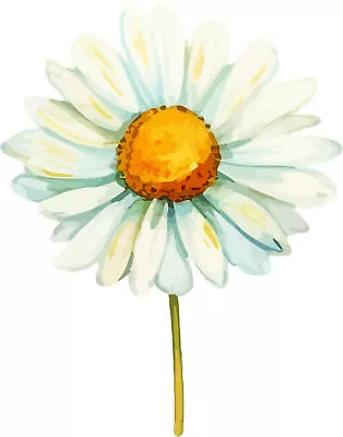 Daisy Flower Vinyl Decal Sticker - Decor - A2882 • £3.99