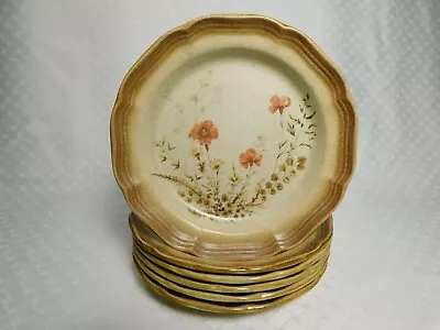 Set Of 6 Mikasa Jardiniere Salad Plates E8016 Whole Wheat • $54.99