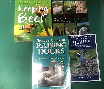 Ducks Quails Bees Chickens Advice Books Bundle Job Lot Sustainable Living !! • £14.99