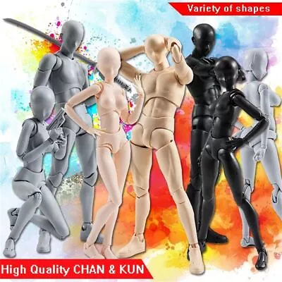 Artist Art Painting Anime Figure Sketch Draw Male Female Movable Body Action Toy • $21.30