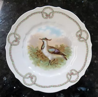 C.T. Carl Tielsch Altwasser Germany ~ Decorative Bird Plate • $5.99