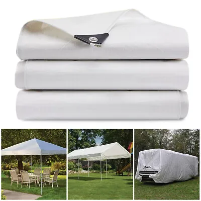 12 Mil Heavy Duty Tarpaulin Waterproof Tarp Poly Canopy Tarp Tent Shelter Cover • $34.88