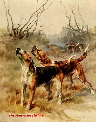 3443 Earl Maud (1864-1943) - 1910 Power Of The Dog - Fox Terrier • $7.43