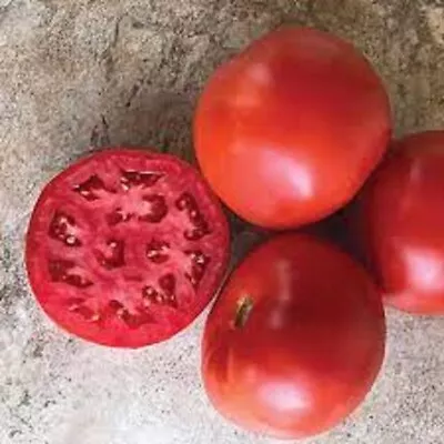 50 Seeds Roadster Tomato Tomatoe Vegetable Garden Edible Canning • $3.66