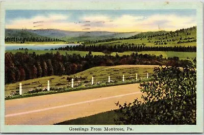 1947 Greetings From Montrose Pennsylvania PA Highway Posted Postcard • $11.16