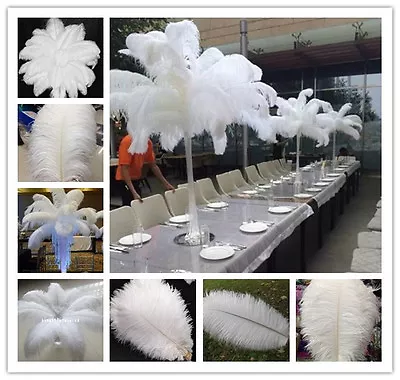 $371.55 • Buy 50-100pcs White Natural Ostrich Feathers 6-28 Inch/15-70 Cm Carnival Diy Costume