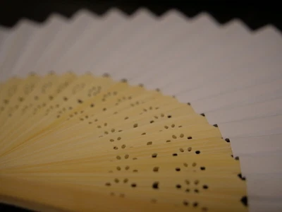 £2.95 • Buy White Wooden Hand Held Fan Paper Folding Bamboo