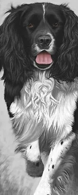 £179 • Buy Nigel Hemming WALK TALL Print, Springer Spaniel  Dogs Art Gift #1