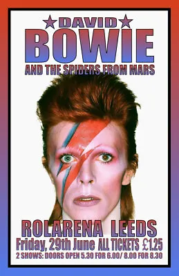 $13.99 • Buy David Bowie Replica 1973 Concert Poster