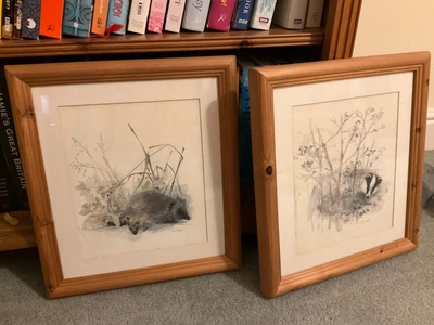 £10 • Buy Watercolour Prints By Mads Stage