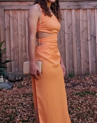 $225 • Buy LEXI Aurea Dress (Mango, Size 6)